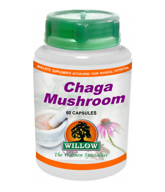 CHAGA MUSHROOM 500MG (60)