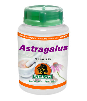 ASTRAGALUS (50)